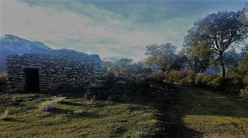 Hotel Auberge Casa Mathea Poggio-di-Venaco Esterno foto